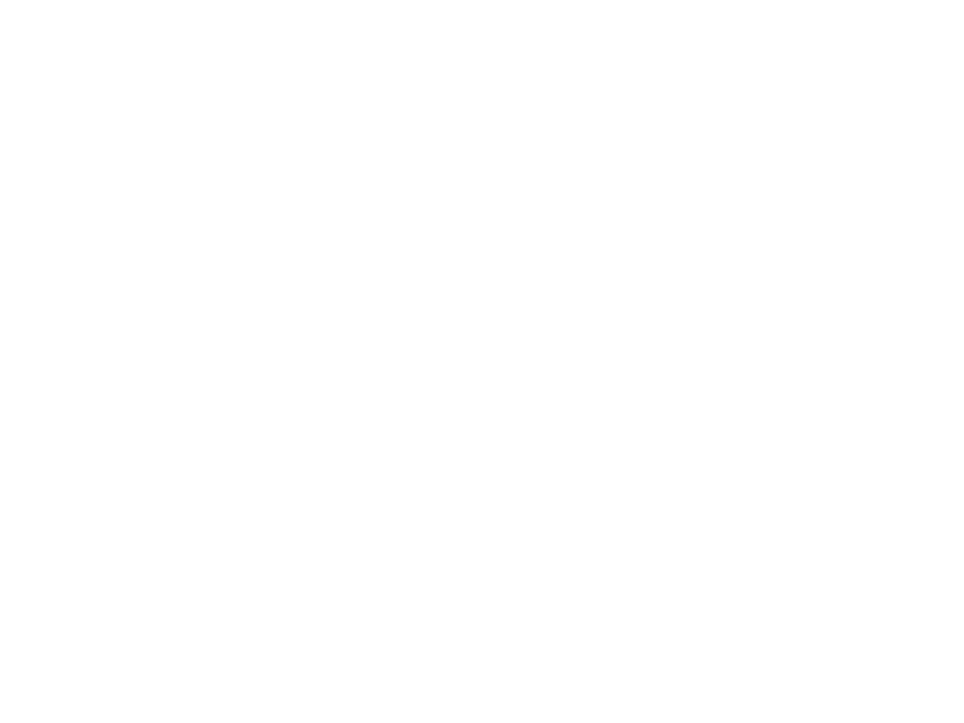 new era logo
